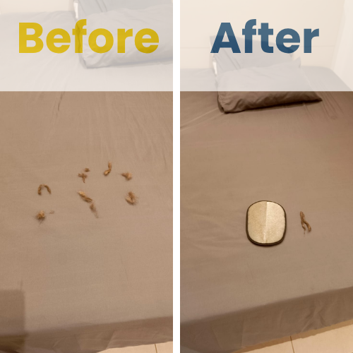 Premium Pet Hair Remover Glove